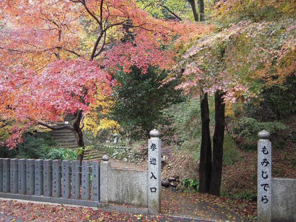 a!Heart supercar 010.jpg